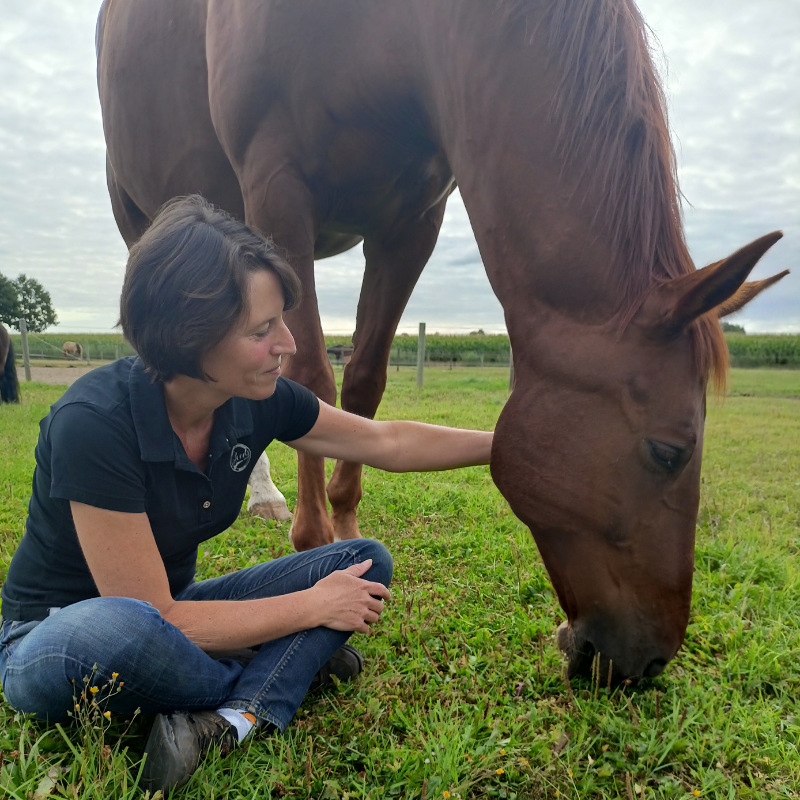 Floris en Saskia verbinding